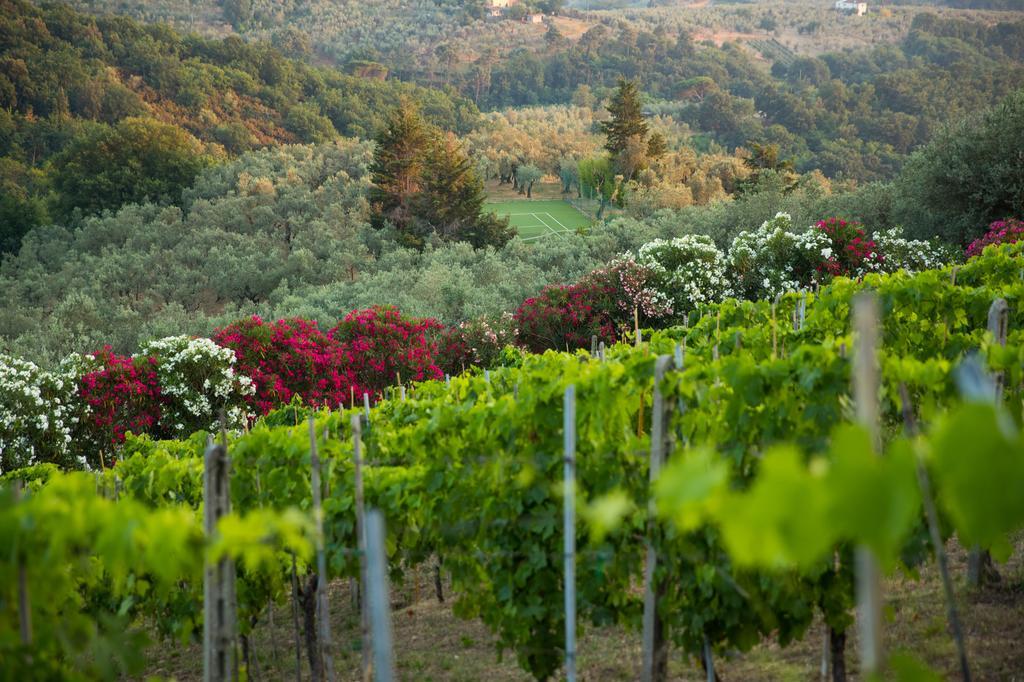 Casa Vacanze Casa Italia Lamporecchio Zewnętrze zdjęcie