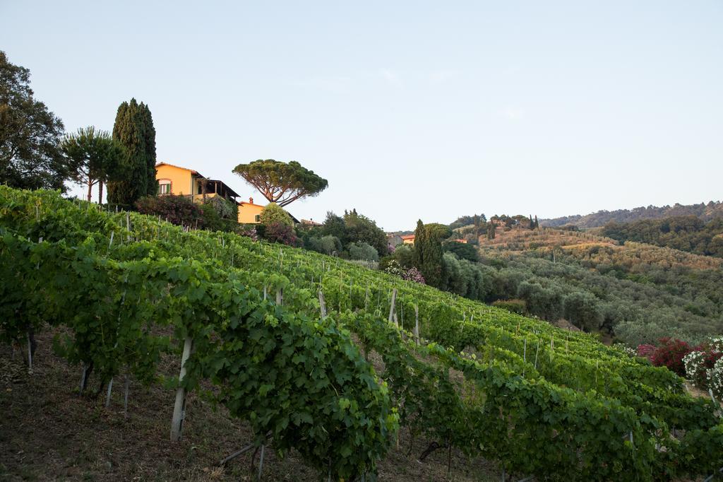 Casa Vacanze Casa Italia Lamporecchio Zewnętrze zdjęcie