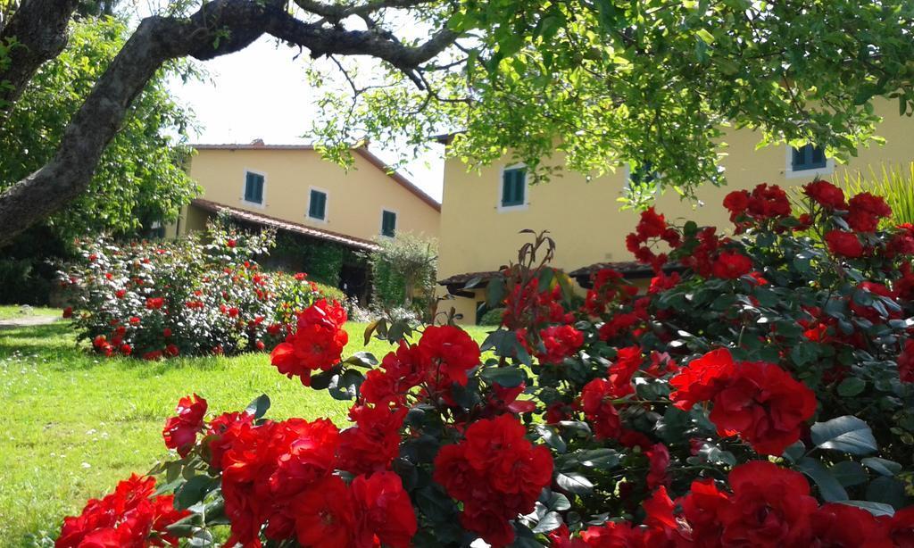Casa Vacanze Casa Italia Lamporecchio Zewnętrze zdjęcie